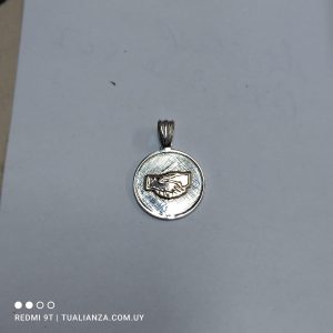 Medalla profesional asistente social