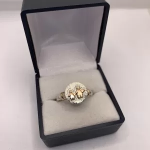 Anillo profesión maestra preescolar