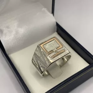 Anillo profesión Ingeniero de sistemas, informática