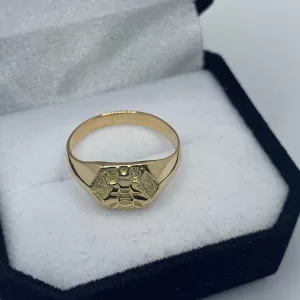 Anillo profesión maestra oro 18K