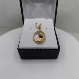 Dije oro 10K virgen niña