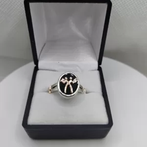 Anillo profesión administrativo comercial